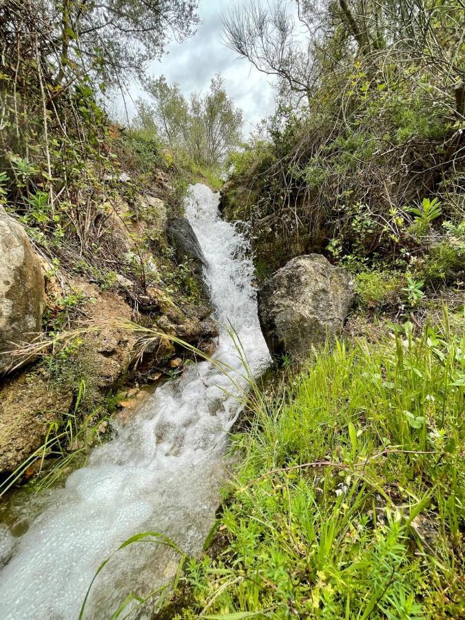 Affittacamere Cortijo Samadhi Lanjarón Esterno foto