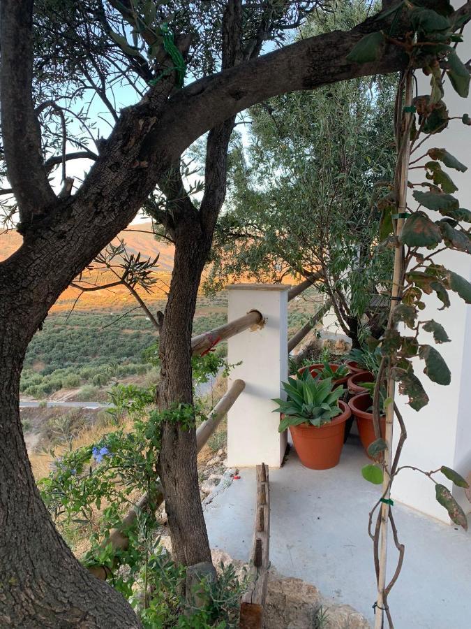 Affittacamere Cortijo Samadhi Lanjarón Esterno foto