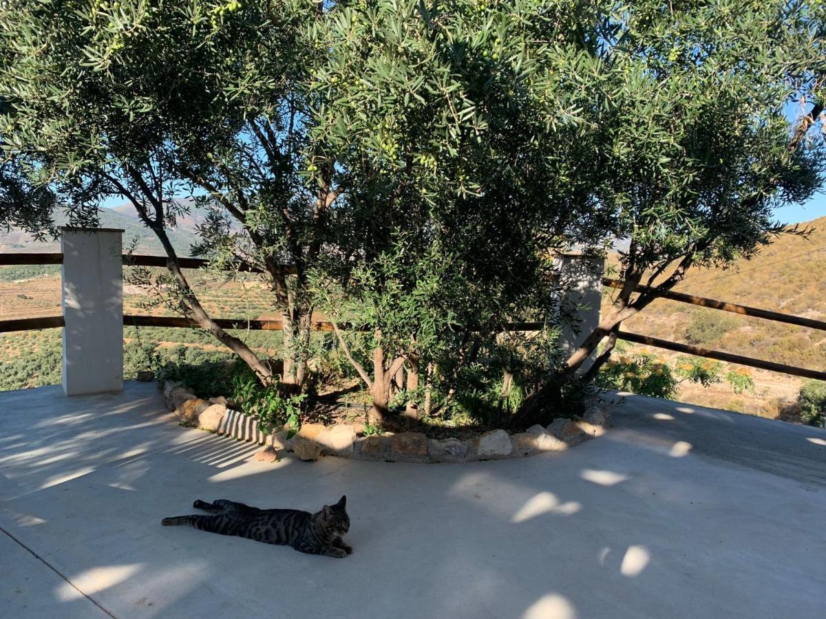 Affittacamere Cortijo Samadhi Lanjarón Esterno foto