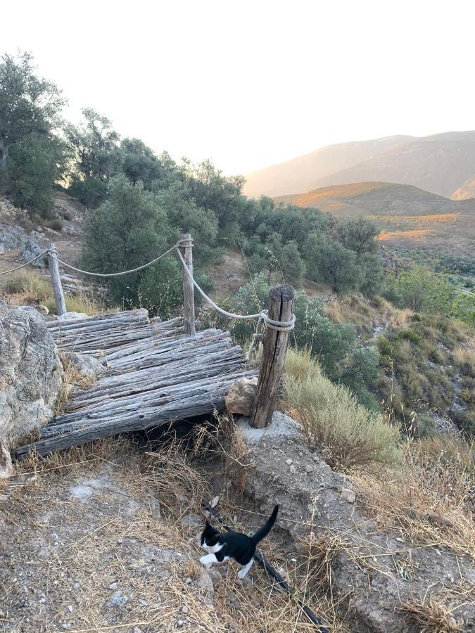 Affittacamere Cortijo Samadhi Lanjarón Esterno foto