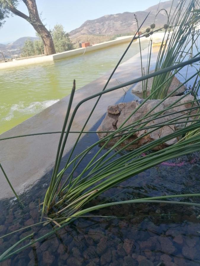 Affittacamere Cortijo Samadhi Lanjarón Esterno foto