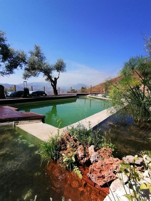 Affittacamere Cortijo Samadhi Lanjarón Esterno foto